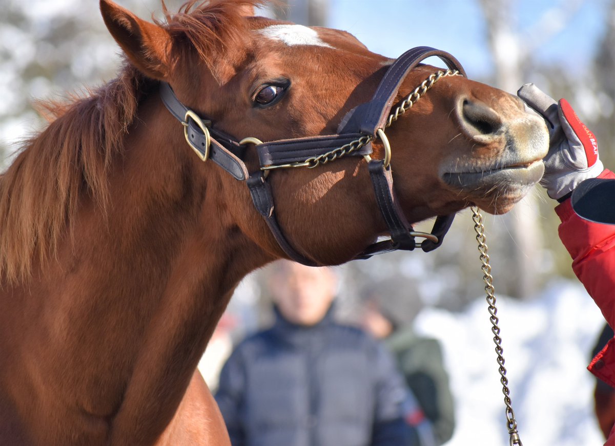 アグネスデジタルさん、24歳のお誕生日おめでとう