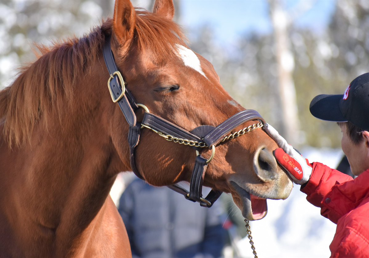 アグネスデジタルさん、24歳のお誕生日おめでとう