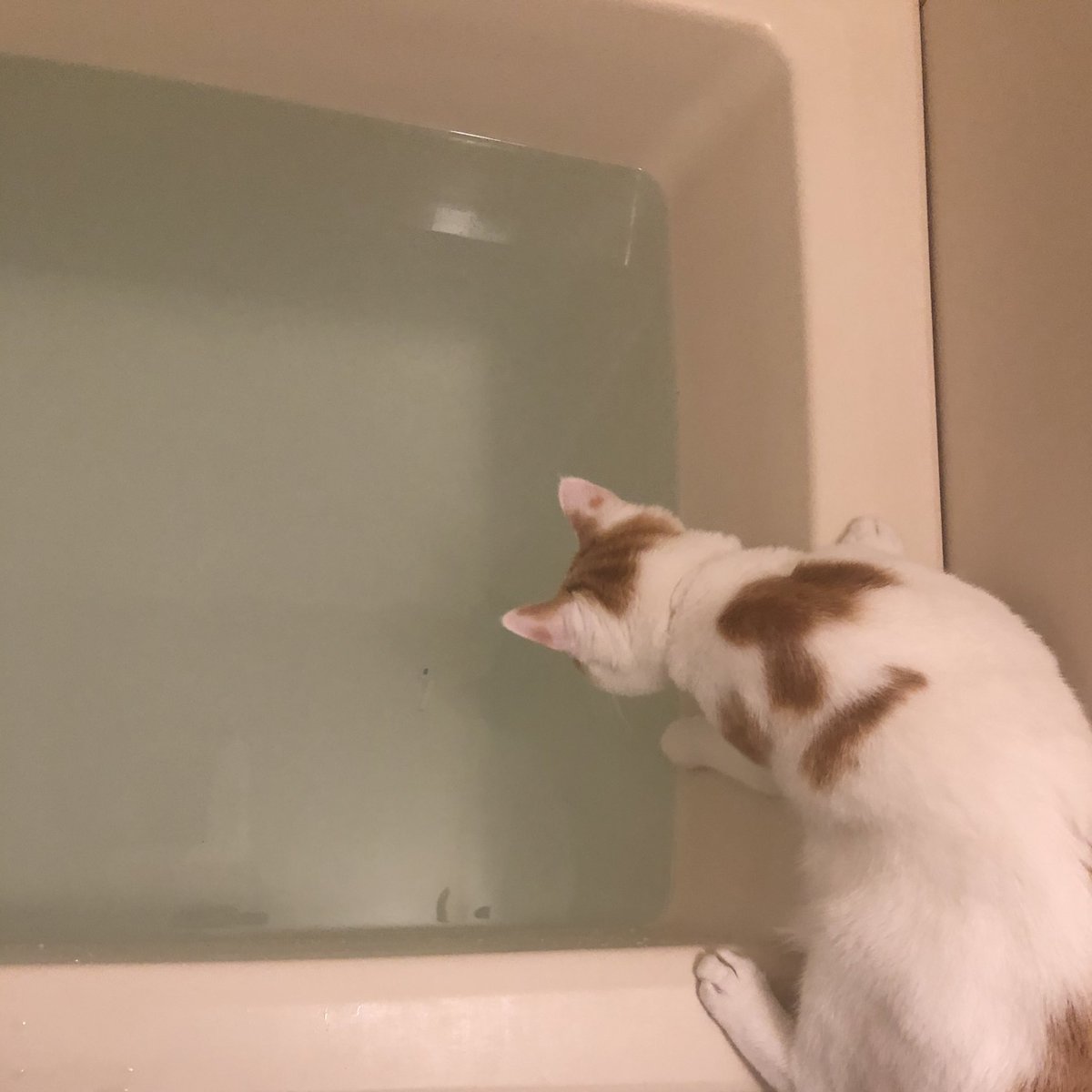 何されても嫌いになれない 