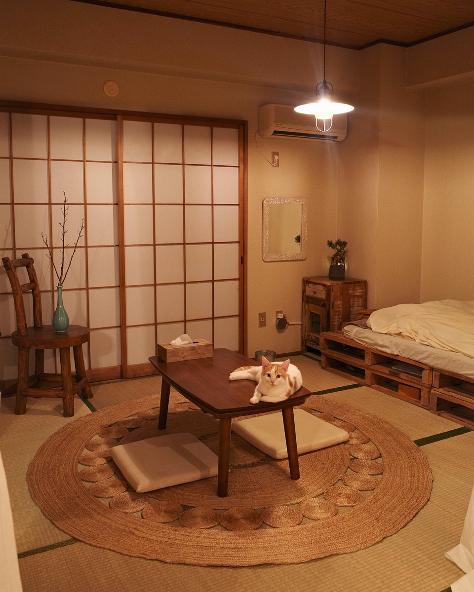 和室に北欧の家具をミックスさせるのが趣味です 