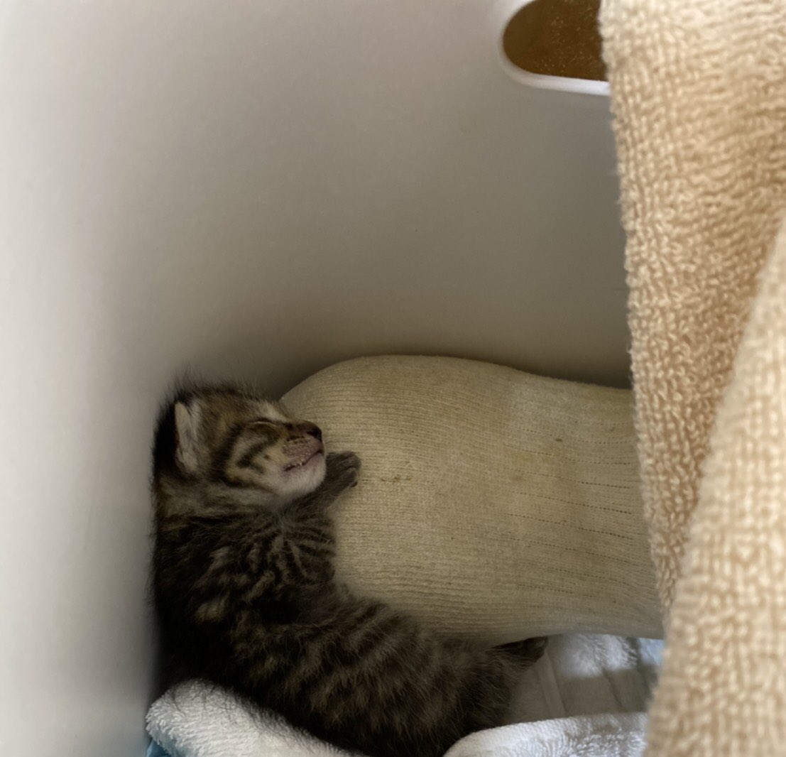  とわかりやすい御説明頂きました