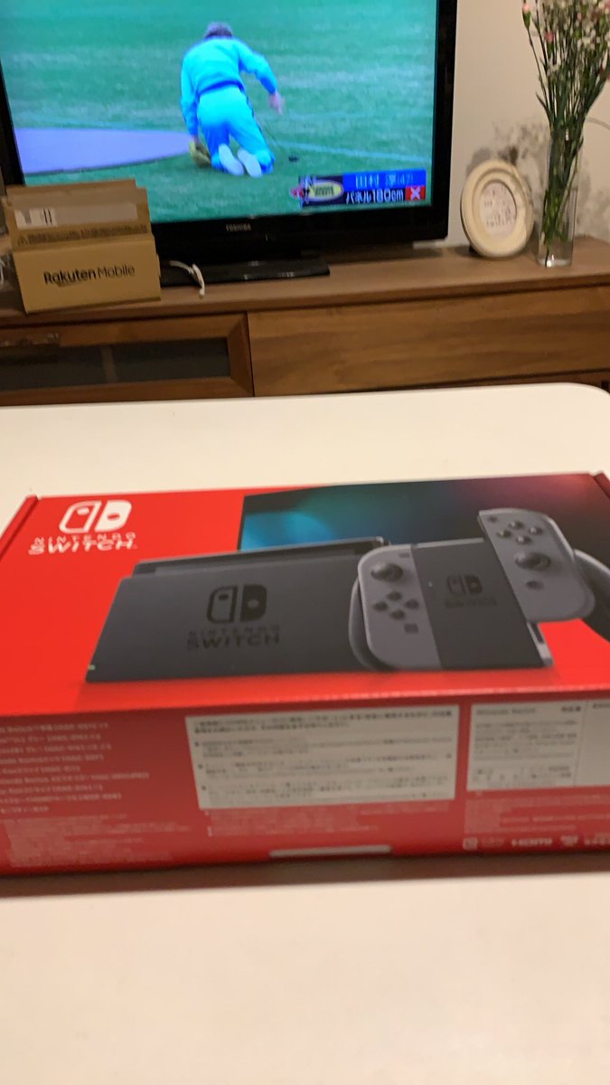 大人だし好きなだけゲームできると思ったけどそうはいかなかった‥ 