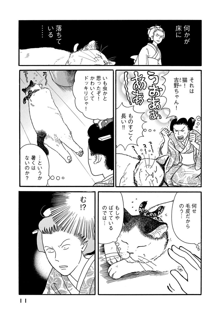 夏の暑い日に猫がやってきて涼しいところを教えてくれる話（1/2） 