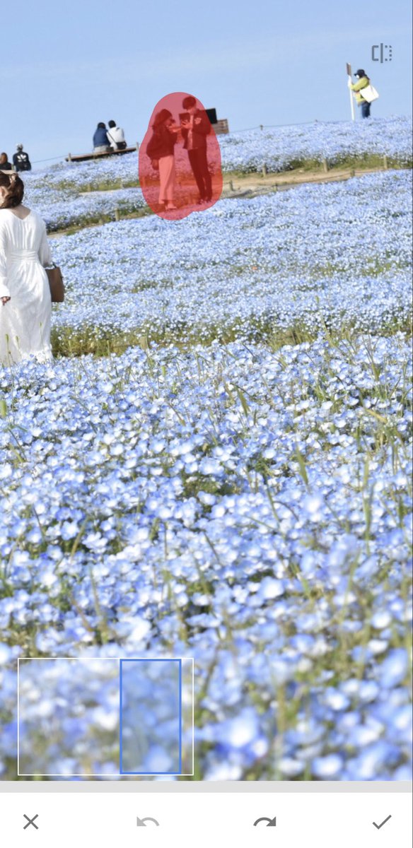 人気なスポットってどうしても人が沢山映り込んでしまうので、消しちゃえば独り占めしてるように🤍