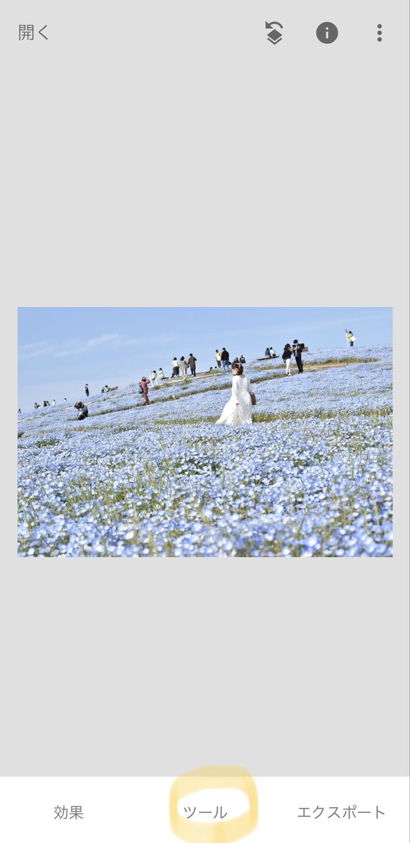 人気なスポットってどうしても人が沢山映り込んでしまうので、消しちゃえば独り占めしてるように🤍 