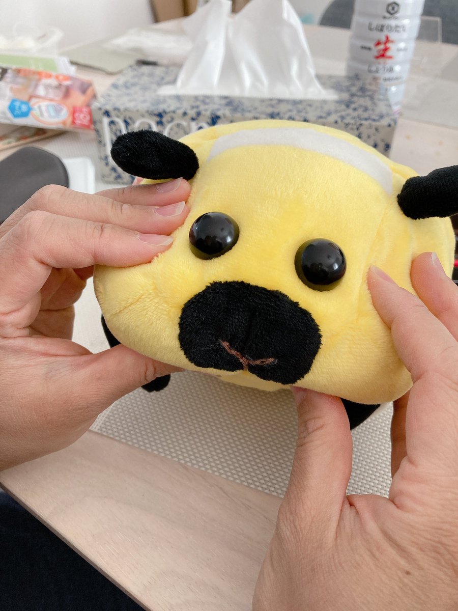 ﾝﾜーーーーー