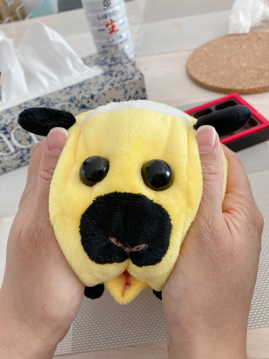 ﾝﾜーーーーー