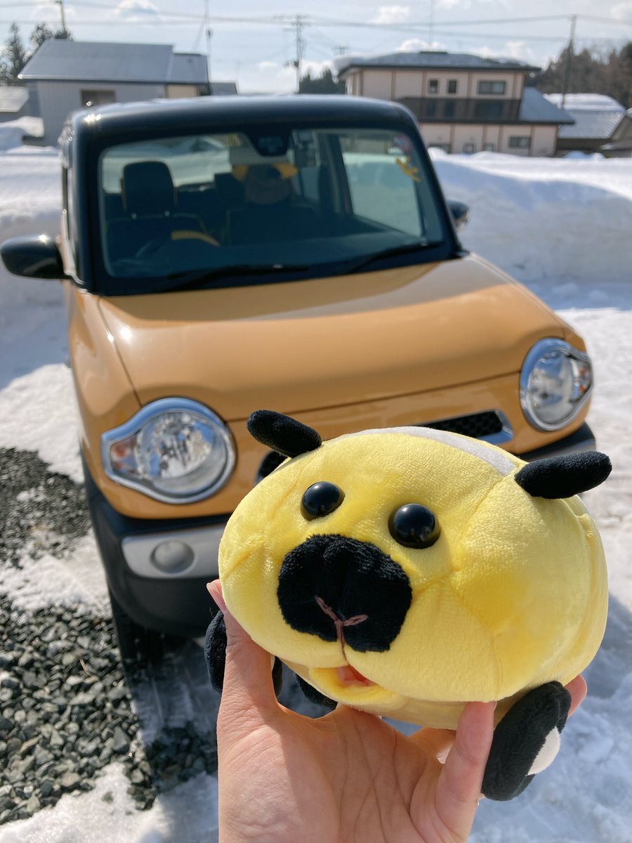 ﾝﾜーーーーー