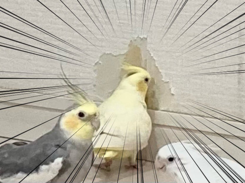 うんうん皆で集って楽しそうに遊んでい 