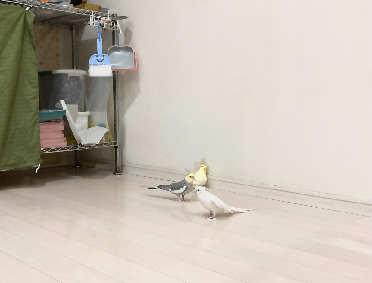 うんうん皆で集って楽しそうに遊んでい 