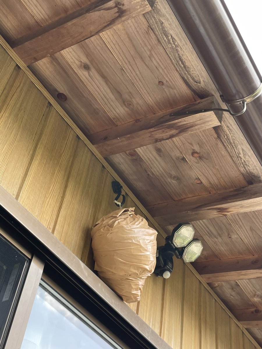 ダミー蜂の巣で新規の蜂を寄せ付けない方法、人にも蜂にも優しいやり方でおすすめ 