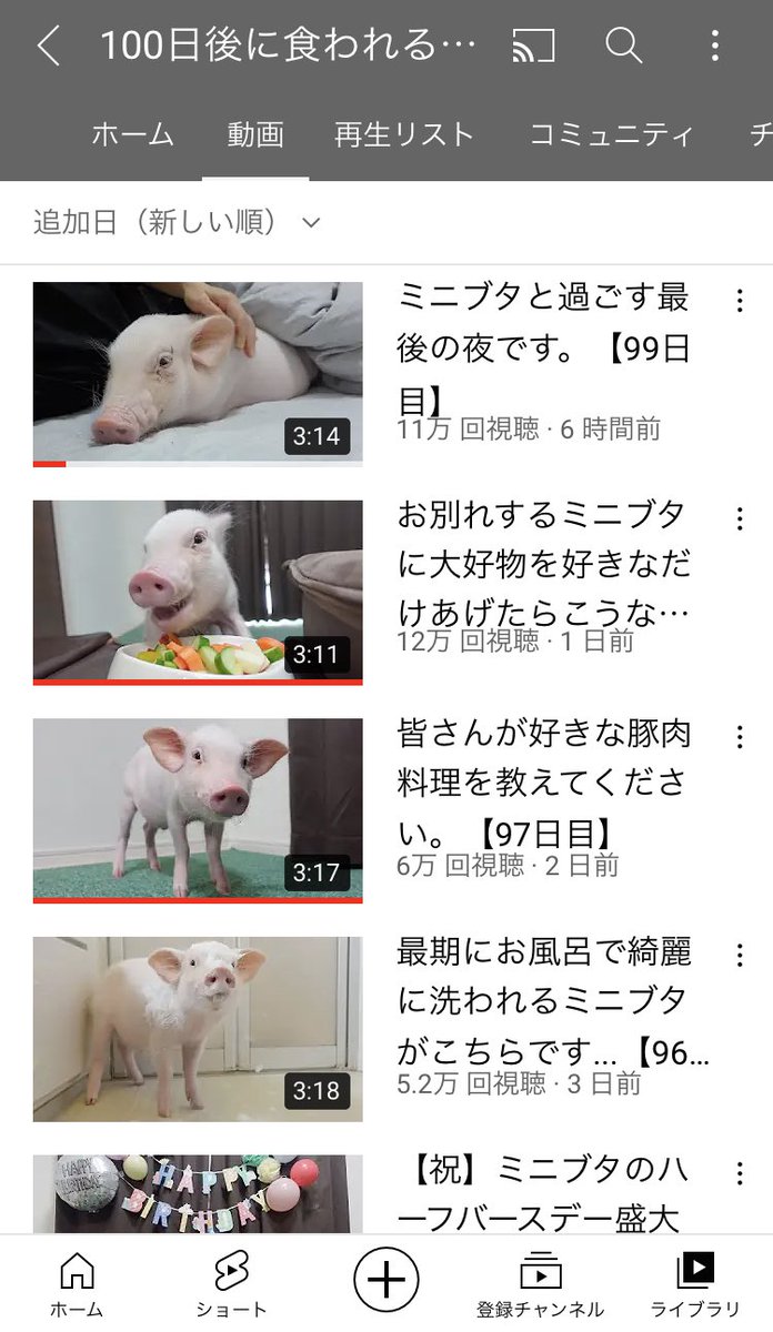 100日後に食われるブタというのをチャンネル登録してたまに見てたんだけど今日が最後の日らしくて気になって眠れない