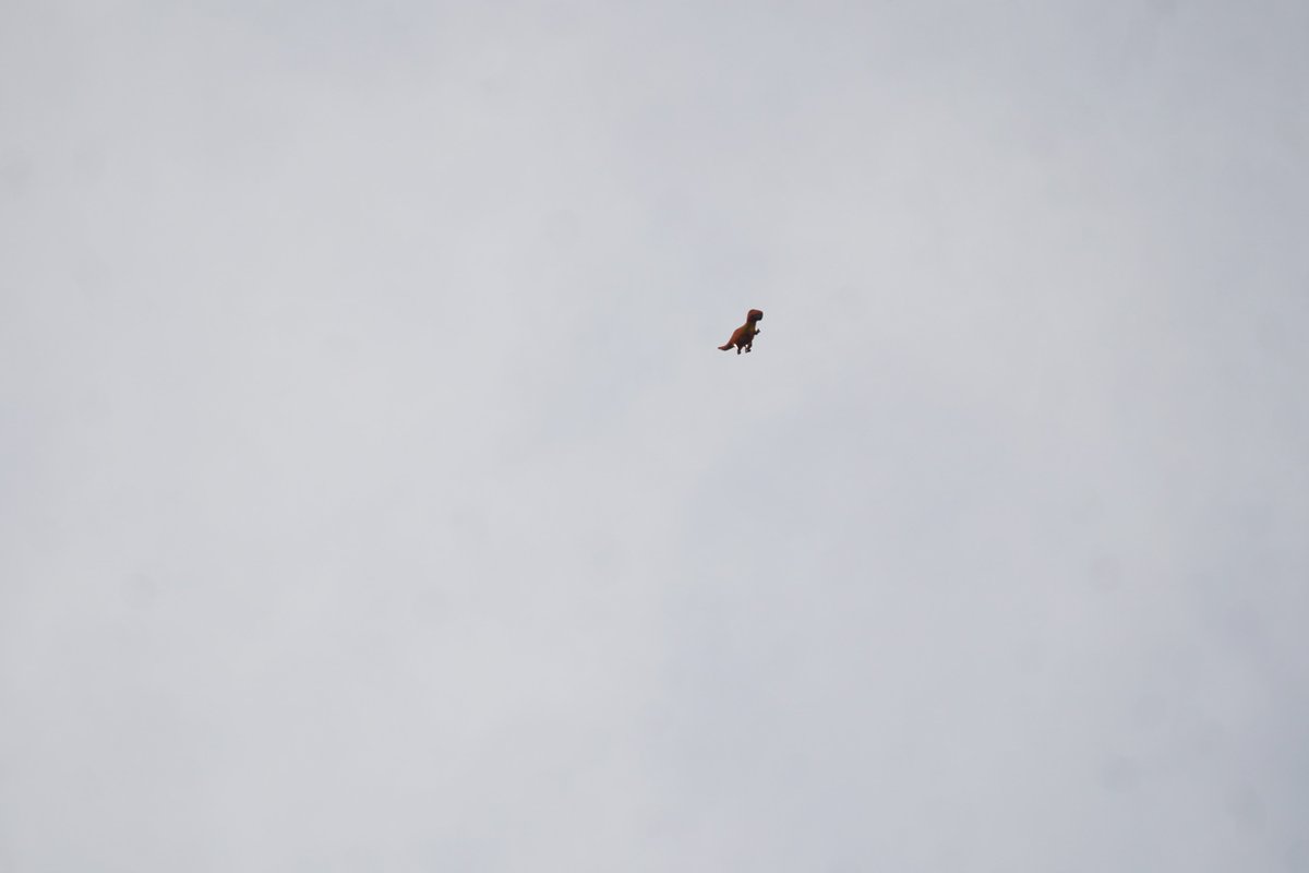 アオサギがやたらと空を気にしているからオオタカでもいるのかな、と思ったら・・・えっ