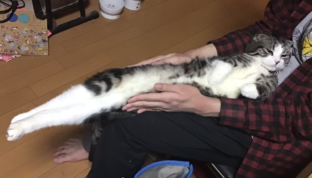  って今急に弟に呼ばれ見せられた光景 