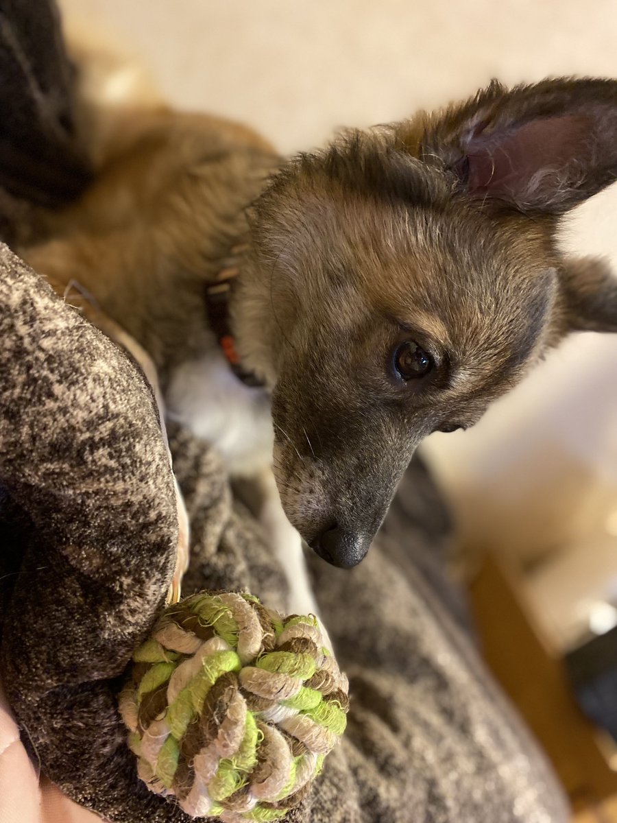 台風も接近しているため、一刻も早く見つけたいです