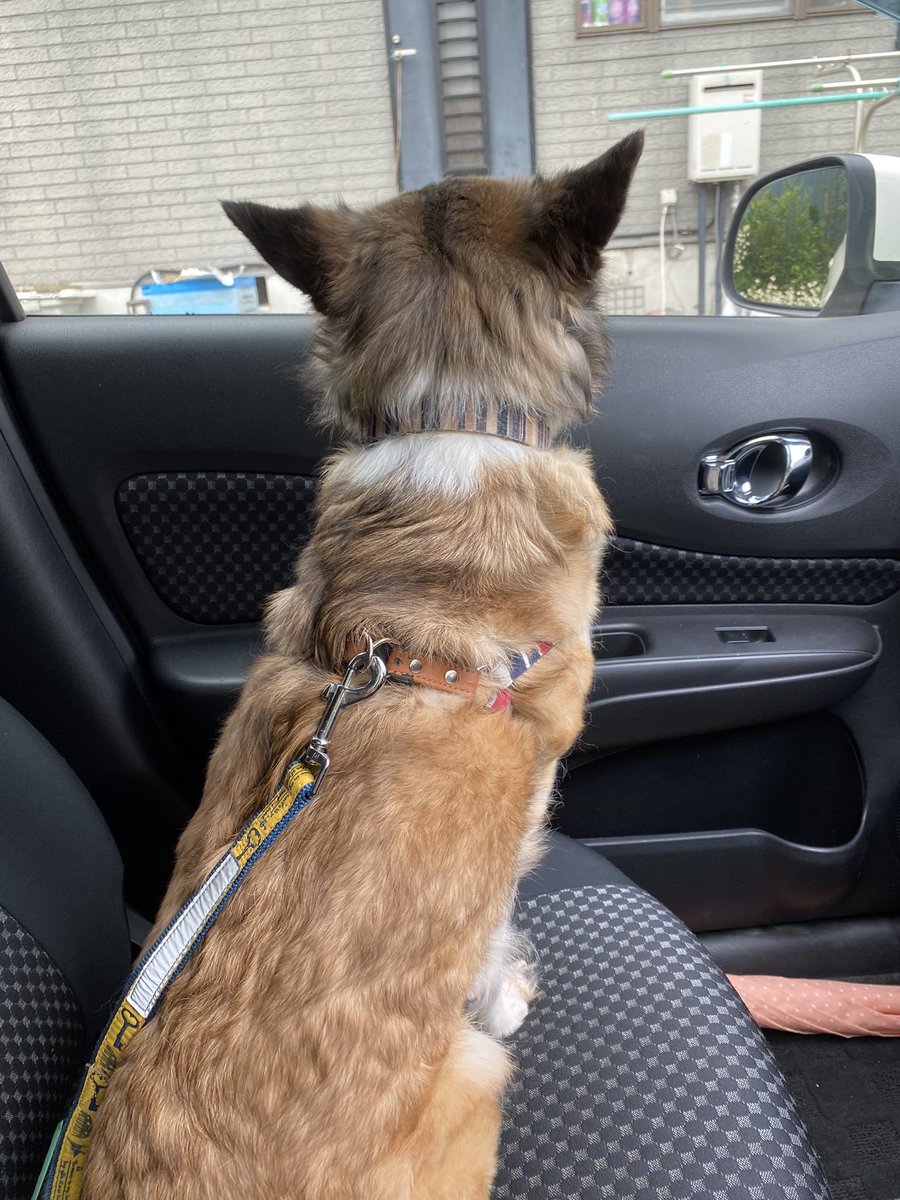 台風も接近しているため、一刻も早く見つけたいです