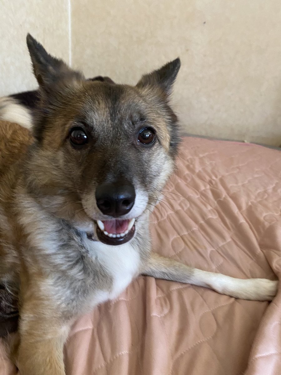 台風も接近しているため、一刻も早く見つけたいです