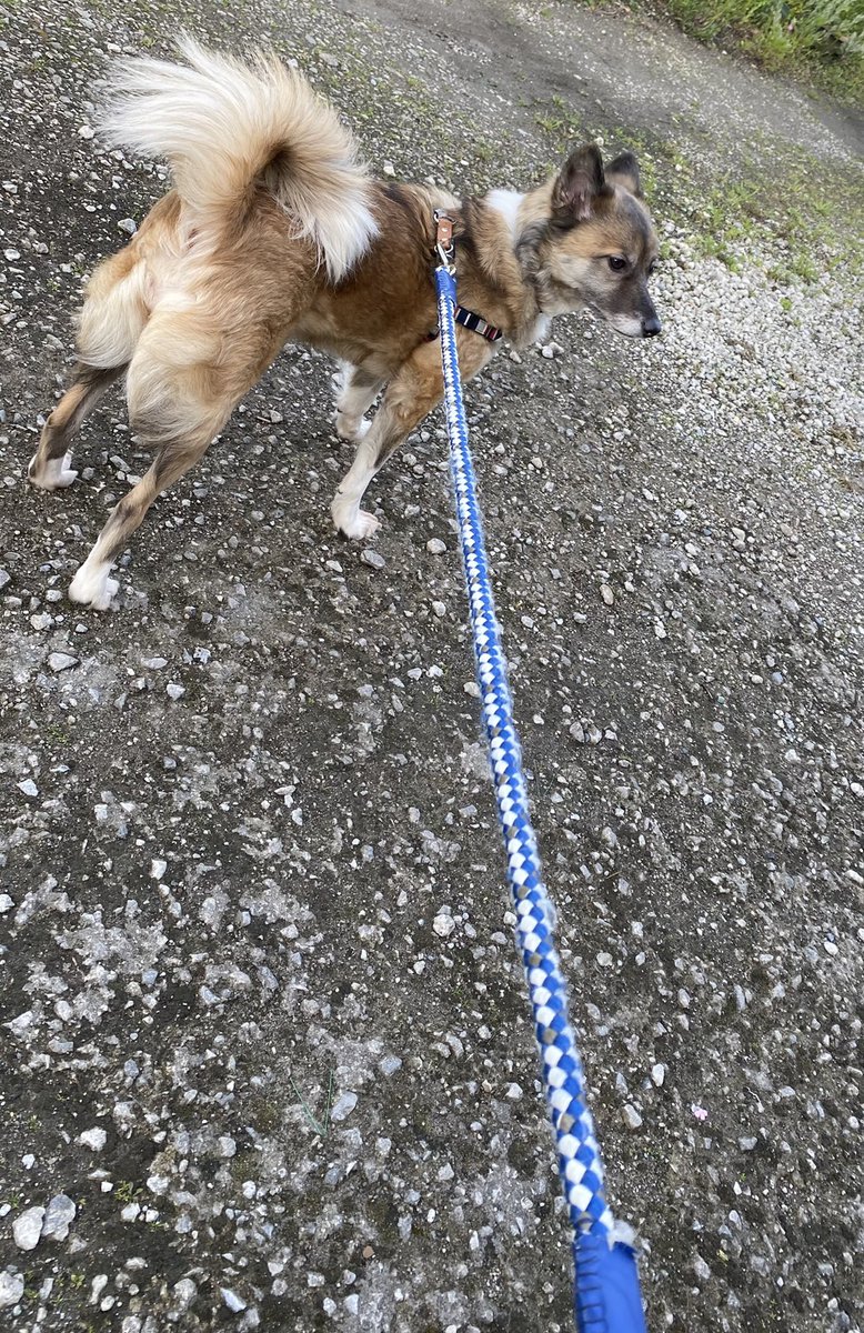 台風も接近しているため、一刻も早く見つけたいです