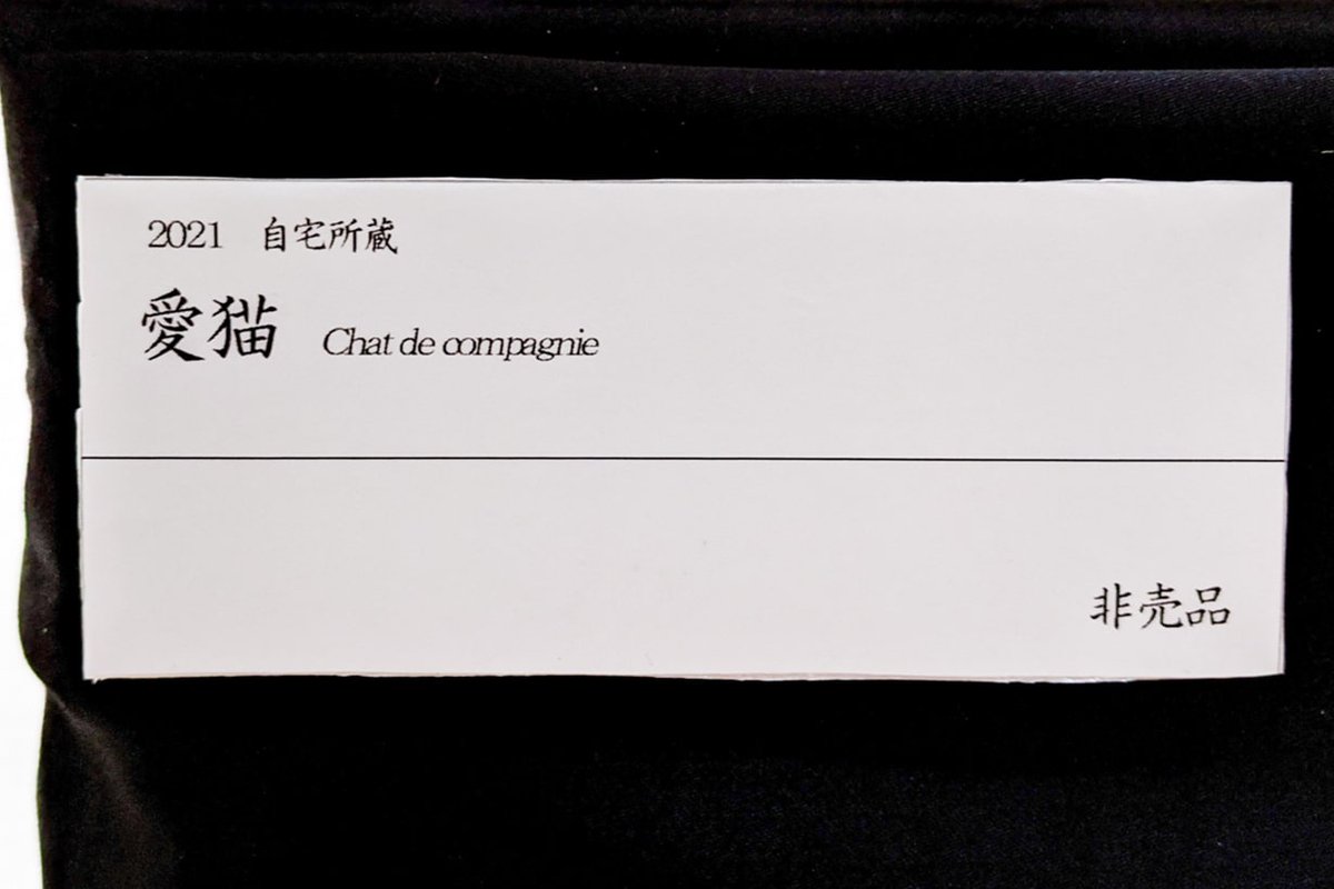   「置いておくだけで飼ってる猫が美術品みたいになる」キャットタワーを作った
