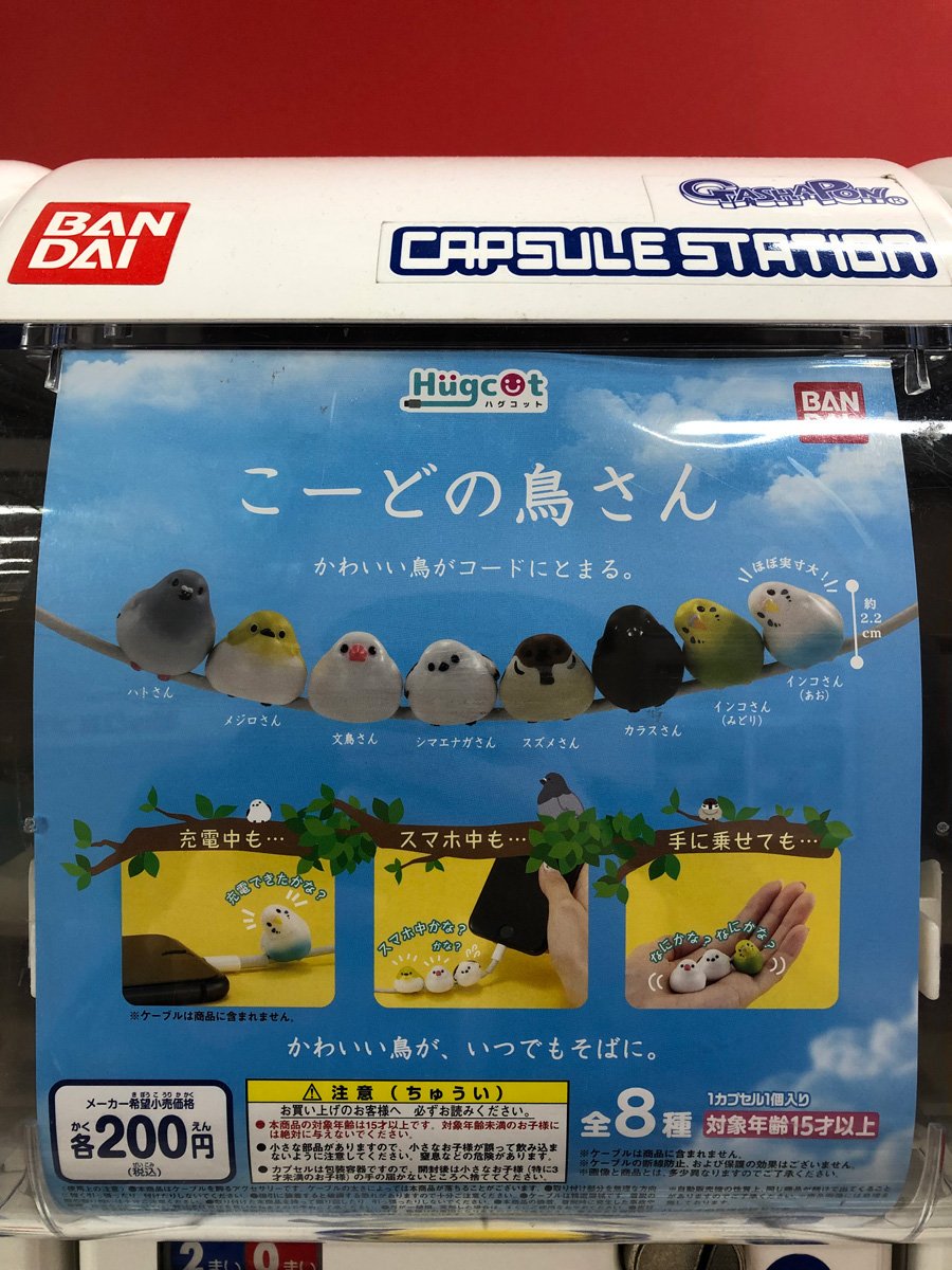 あと「こっぷの鳥さん」にもなります