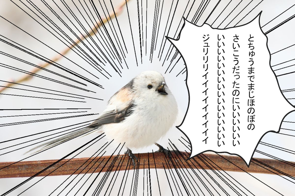 チタタプはいやっていったけどさ すぎもとおおおおおおおお チュリリリリリリリ（・◆・）  #ゴールデンカムイ 