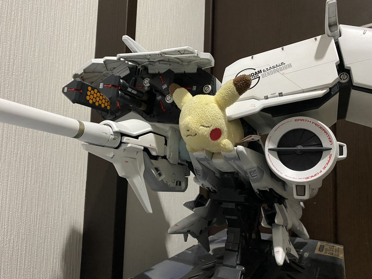 むすめぇーーー‼️ 