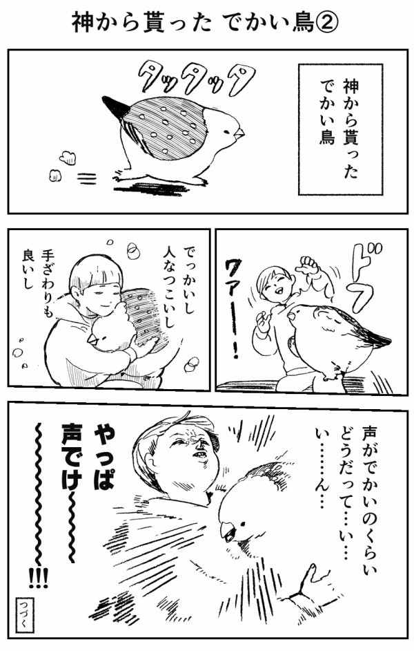 神から貰ったでかい鳥シリーズ 