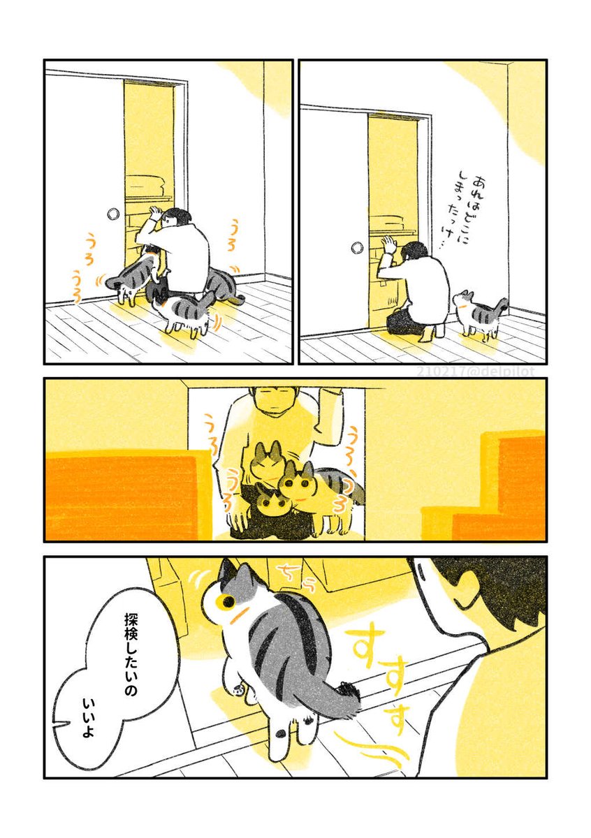 押入れ探検が好きな猫 