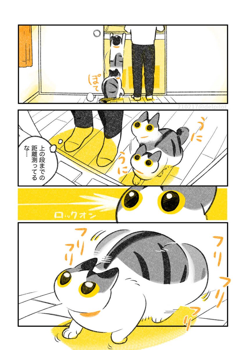 押入れ探検が好きな猫 