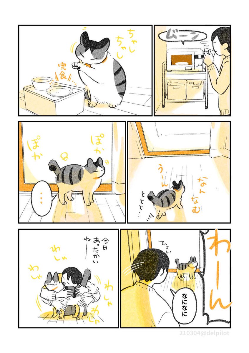 猫と昼ごはん 