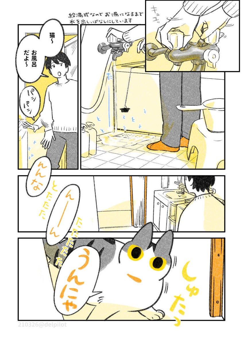 水のたゆたいが気になる猫 