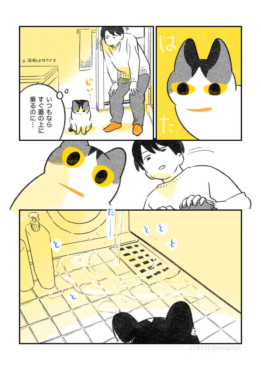 水のたゆたいが気になる猫 