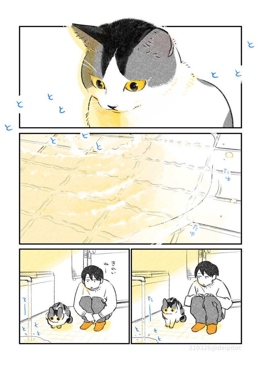 水のたゆたいが気になる猫 