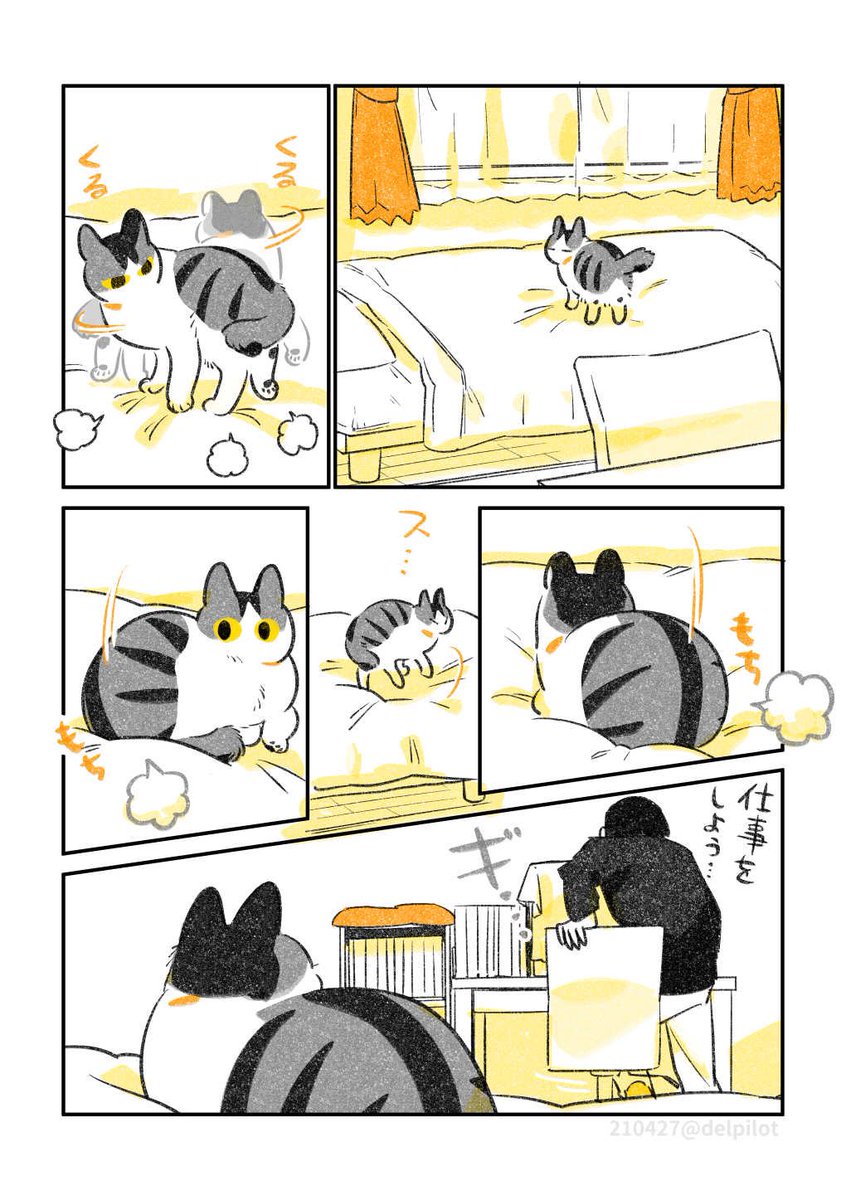 近くで寝る猫 