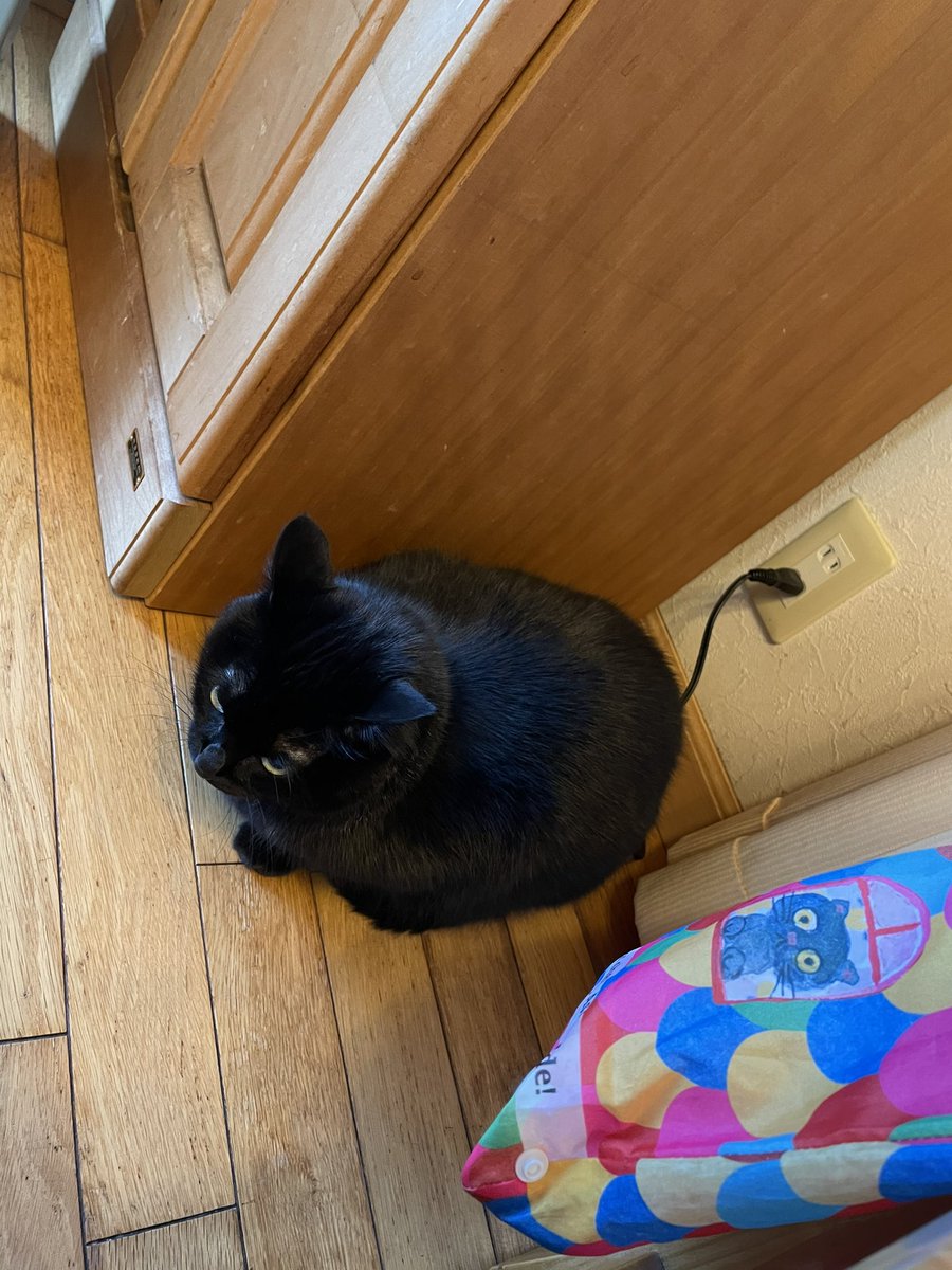 充電するところ見てて… 