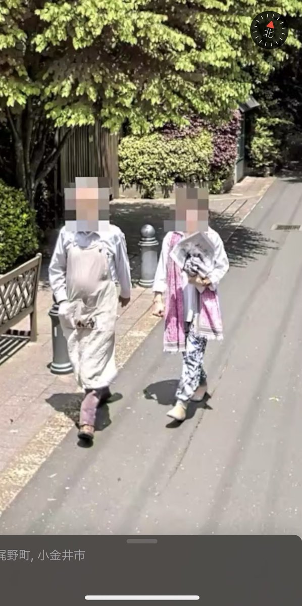 たまたまGoogle Earthでスタジオジブリ付近を眺めていたら、、、エプロン姿で歩く宮崎駿監督を発見してしまう