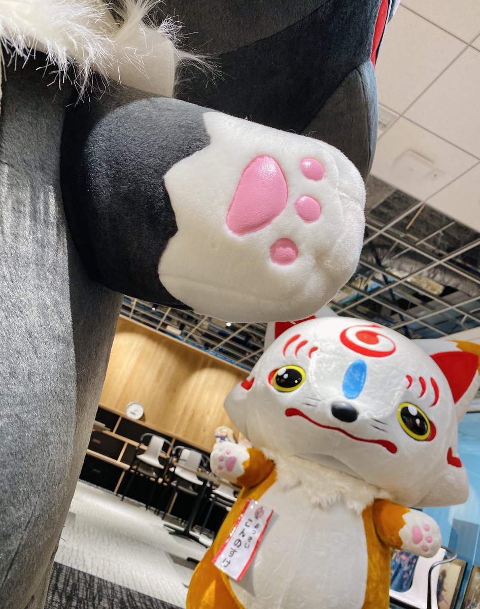 )へ駆けつけるおっきいクダギツネがいるとの情報が