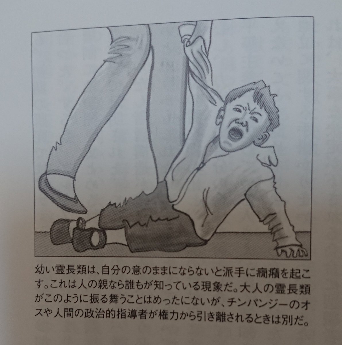 今後街でイヤイヤ期の幼児を見かけたら、脳内に「幼い霊長類は、」と字幕が浮かんでしまいそう 