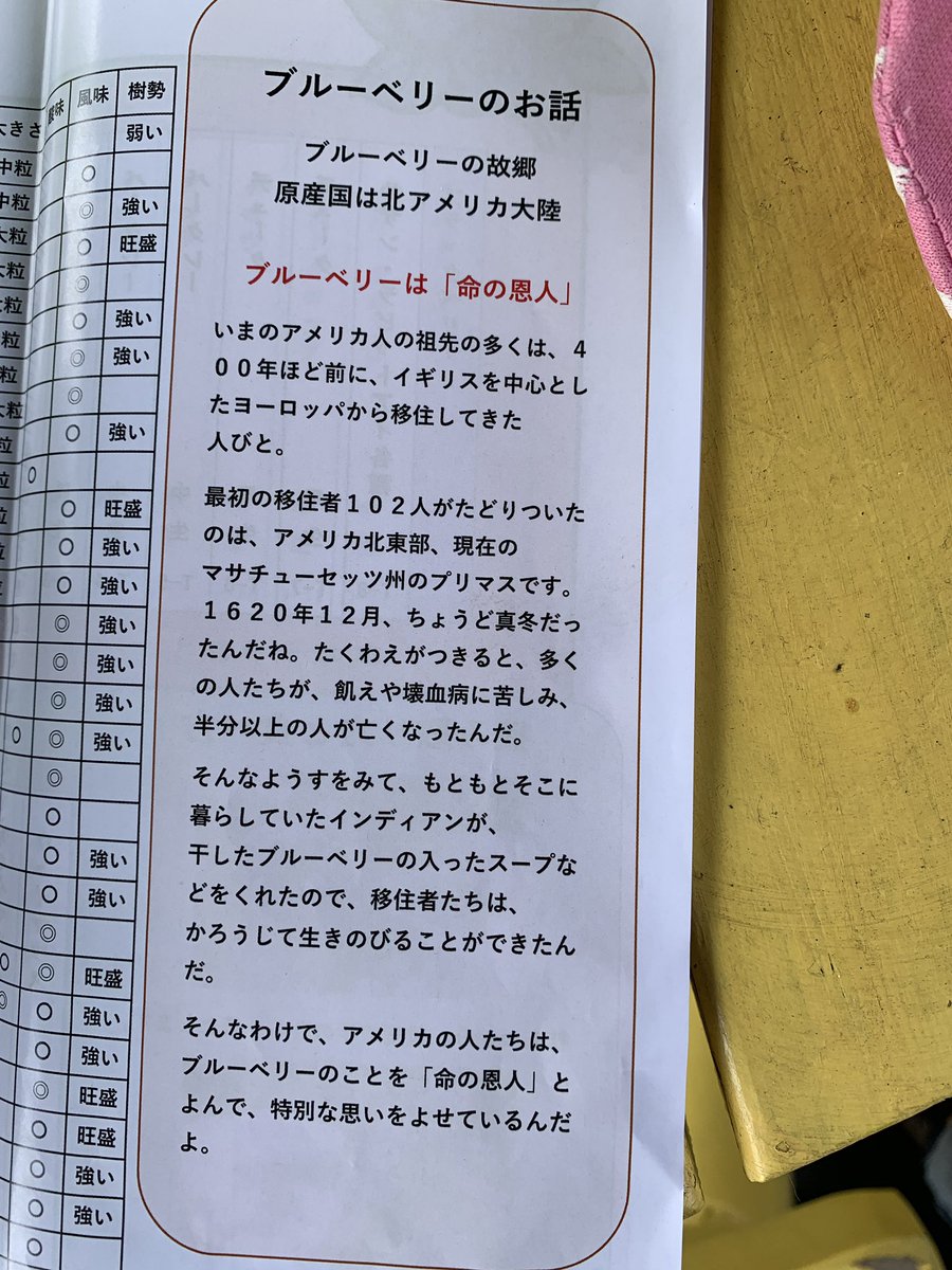 命の恩人はインディアンの方だと思います。 