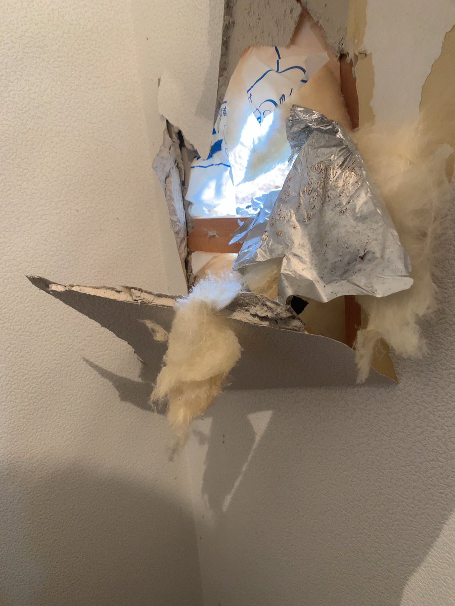 ヤマドリ(キジ科)が 外壁タイルと石膏ボード貫通して家に刺さってた な、何を言っているのかわからねーと思うが おれも何をされたのか わからなかった‥