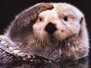   そんな時に顔の目や頬、頭に手をやると 「めっちゃあったかい