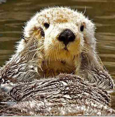   そんな時に顔の目や頬、頭に手をやると 「めっちゃあったかい