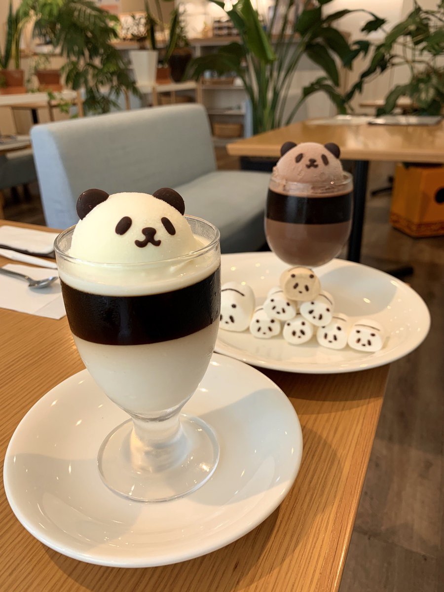 名古屋・大須のヤマコーヒーさんでパンダコーヒーゼリー食べてきた〜〜〜🐼🐼🐼 茶色い方は今限定の日焼け焦げパンダなんだってかわいいーーー😭😭😭夏を…満喫したんだねパンダちゃん…🏄♂️😭😭👏✨✨ 見た目だけじゃなくお味もめちゃめちゃ美味しかった🐼🐼🐼💕