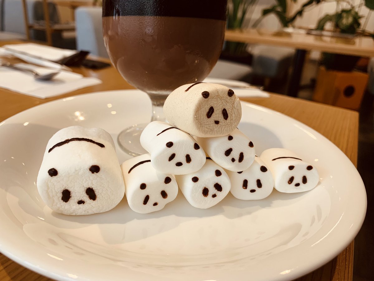 名古屋・大須のヤマコーヒーさんでパンダコーヒーゼリー食べてきた〜〜〜🐼🐼🐼 茶色い方は今限定の日焼け焦げパンダなんだってかわいいーーー😭😭😭夏を…満喫したんだねパンダちゃん…🏄♂️😭😭👏✨✨ 見た目だけじゃなくお味もめちゃめちゃ美味しかった🐼🐼🐼💕
