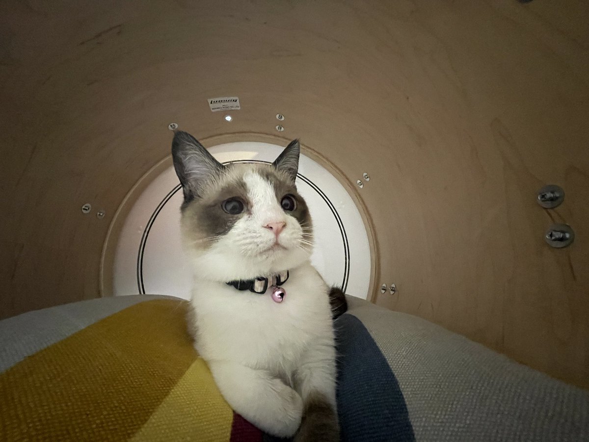 ついにそこを見つけてしまったか。。。 