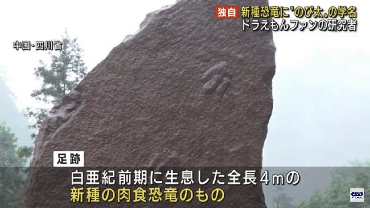 この准教授神様？ 