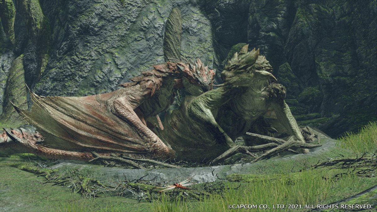 #モンハンライズ #MHRise #モンハン #NintendoSwitch 前にたまたま撮ったやつ 