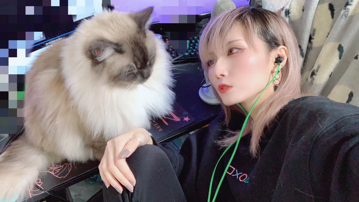 2号くんも初めてのお友達が出来て喜んでおりました🤤 vtuberやりたいので魂募集してるどこかの偉い人是非お願いします