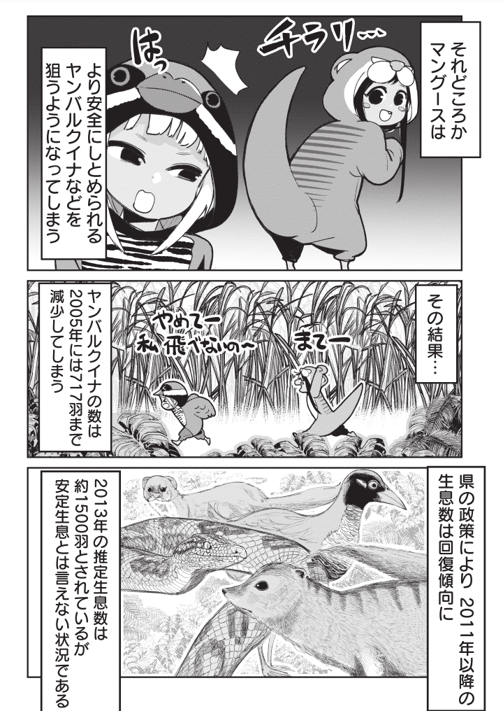 ハブとマングースの知られざる真実 