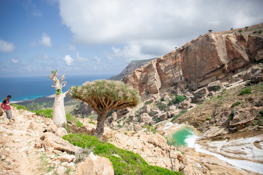 イエメンのソコトラ島というところに行っていました